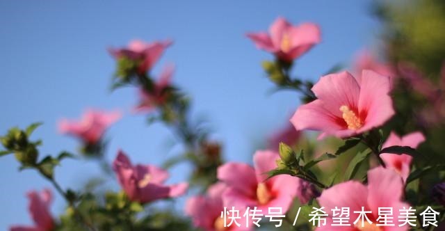 锻炼身体|28岁女孩学游泳锻炼身体，私教教练却百般骚扰，我怕了！