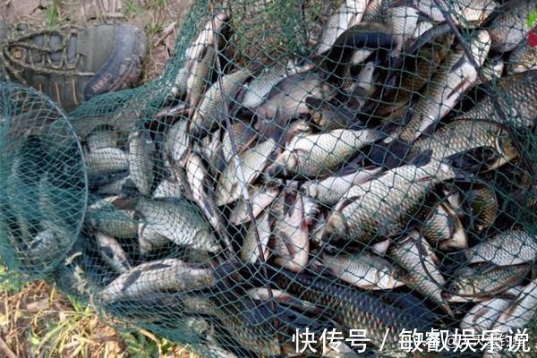 北风|冬季钓鱼，看准风向选时机，北风和南风，哪种风向鱼最好钓？