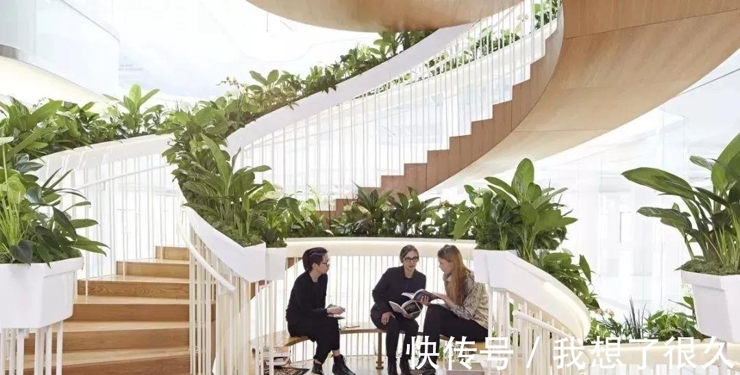 楼梯|国外流行的楼梯设计,房子装修选它,效果提升一倍!