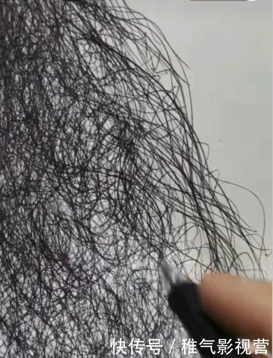 大佬!开始以为在胡乱涂鸦,当美术生画完后,网友对不起,打扰了