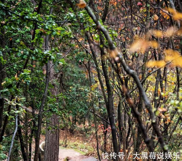 值得|西北最值得去的景区，是“沙漠中的绿洲”，古代修仙的人都住在这