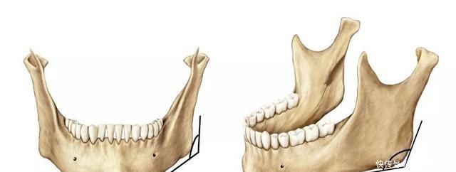 还不知道自己是什么脸型吗？从骨相分析让你一目了然