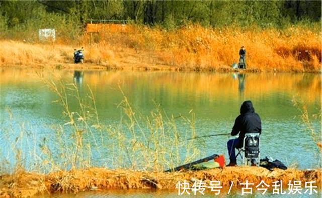 秋季|秋季分“三色”，秋季不同阶段，鱼在不同位置，钓位选择有变化