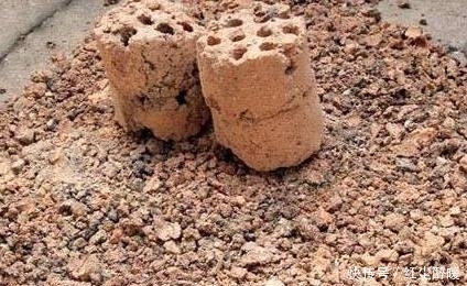 这3种常见的垃圾不要扔,拿来放盆栽里,10年不烂根不黄叶