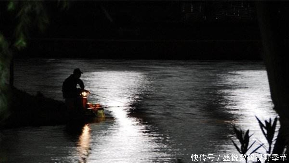 夜钓|夏季夜钓选钓位技巧，跟白天有些类似，但是不能照搬白天那一套！