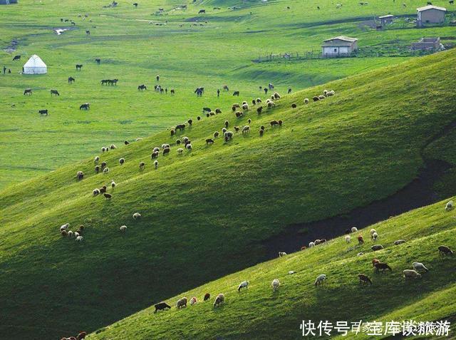 草原|你可去过伊犁美丽的大草原？这可是个不可多得地方，独具西域风情