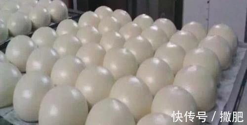 老面|包子店是怎么发面的,为什么他们包好包子直接就放到蒸笼里蒸了?