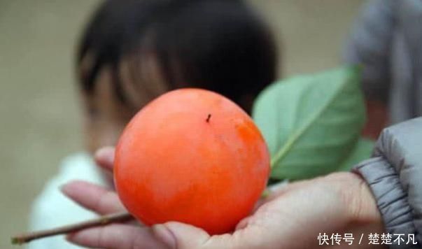 桑葚|“大姨妈”期间,以下五种水果不要碰,尤其是第五种你还在吃!