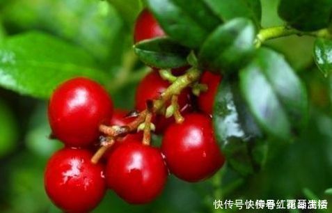 降压|每天晚上坚持吃3种食物，降压降脂，滋补养生，好处多多