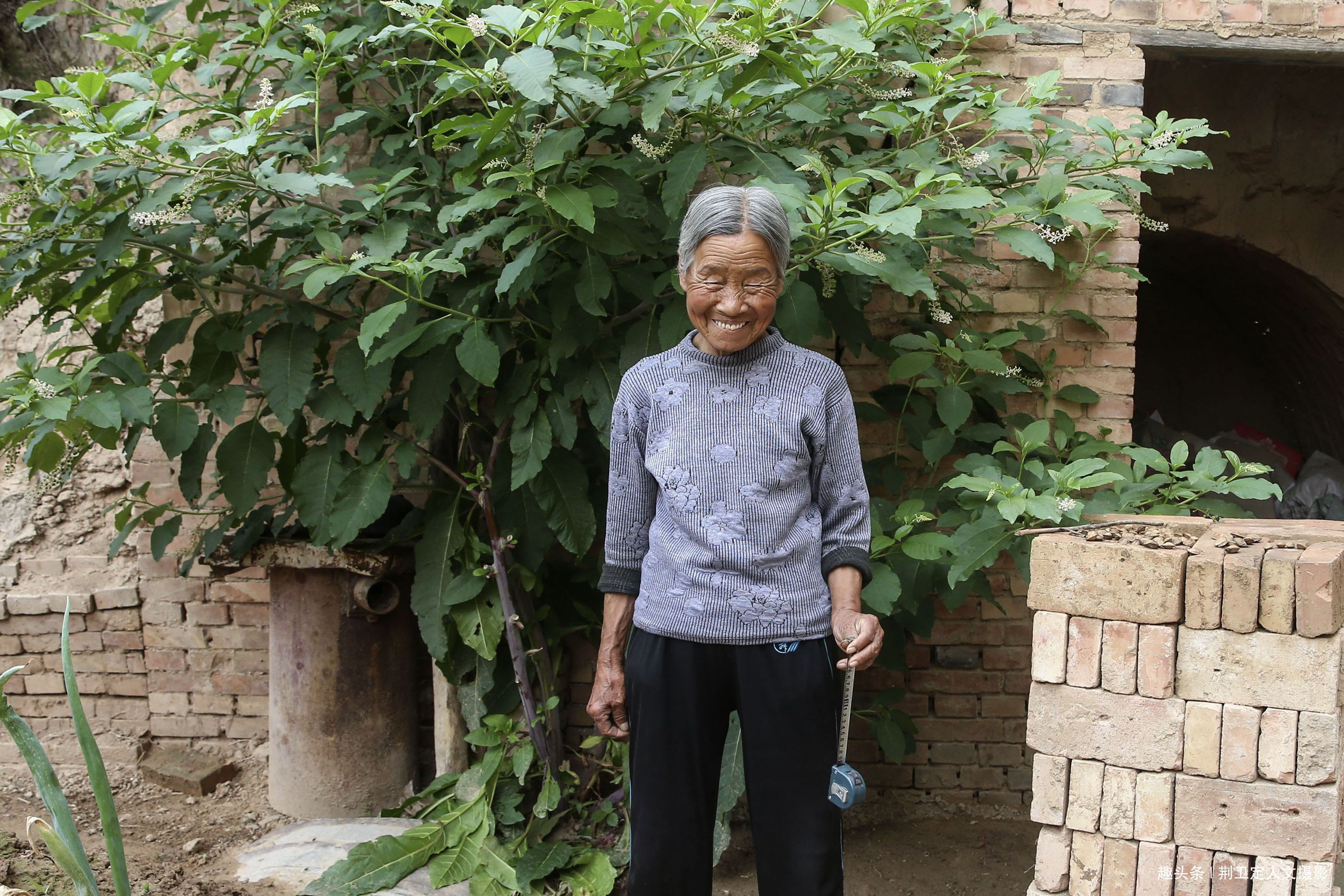 大人参|鸟粪落入8旬老人家中，长出大人参有人说价值10万，看是啥样