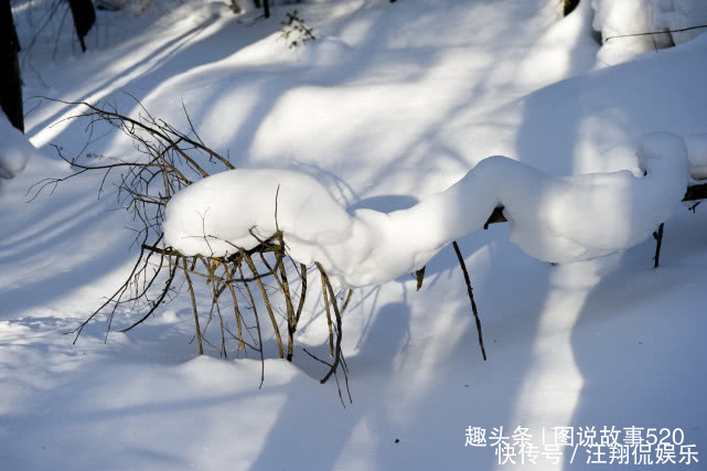 上镜率最高4块“大石头”,看一眼门票要百元,成最让人羡慕石头