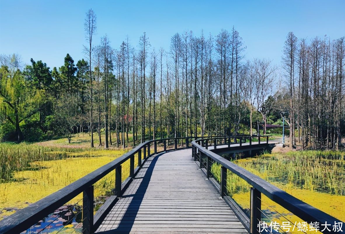 江苏一良心景点出名了，现为踏青赏花圣地，独特钓鱼体验人从众