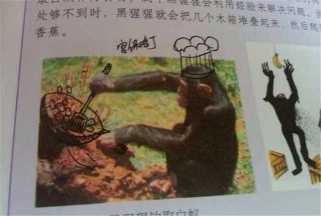孩子#小学生的脑洞有多大?“课本涂鸦”走红,网友:除了学习啥都行