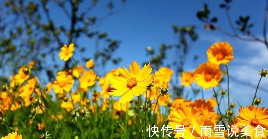 心火|阳气足百病消九个方法,让你阳气十足,远离寒湿!