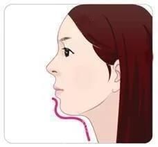 牙齿|看看牙齿对脸型的影响有多大?