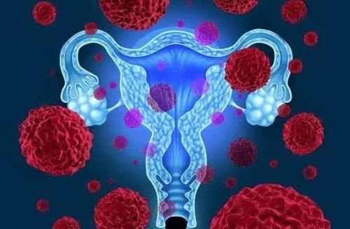 西瓜|子宫“不喜欢”的6种水果，秋季要尽量少吃，或让子宫更温暖