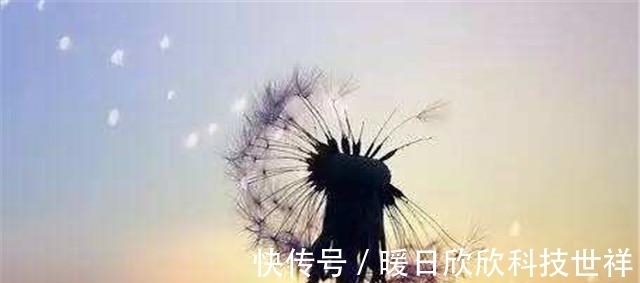 十悟!贾平凹:人生十悟,67岁,年近古稀的年纪才明白