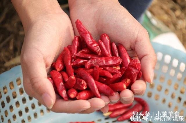 黄花菜|6种蔬菜晒干后,比新鲜的还好吃,冬天炖肉很香,放半年都不坏