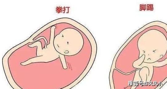 辣妈|孕妈妈们，几种情况下，孕肚不要随便给别人碰，需注意