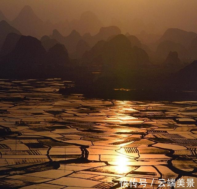 《伏天氏》叶伏天假死,花解语觉醒,书友关心夏青鸢