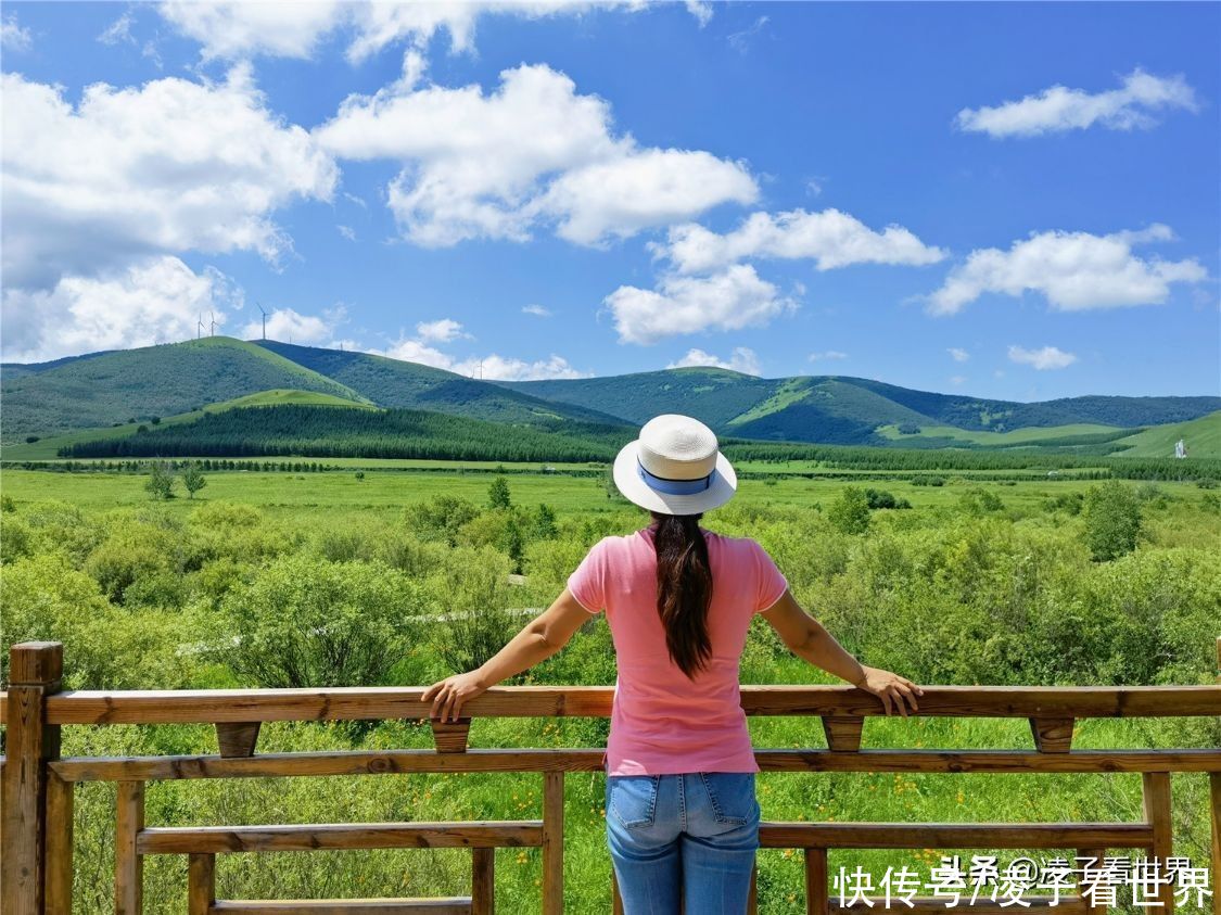 千松坝森林公园|治愈系美景，自驾者的天堂，千松坝森林公园暑假旅行的最佳地