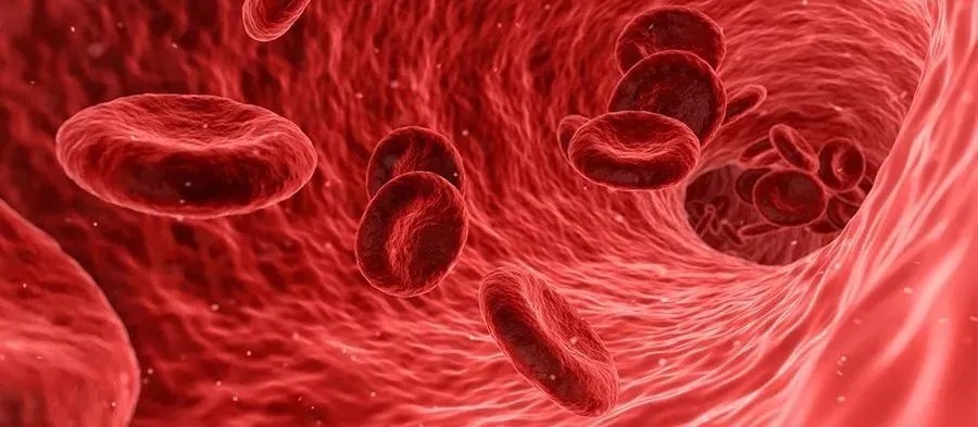 内膜|因为高血压进了ICU!别再拿高血压不当回事儿