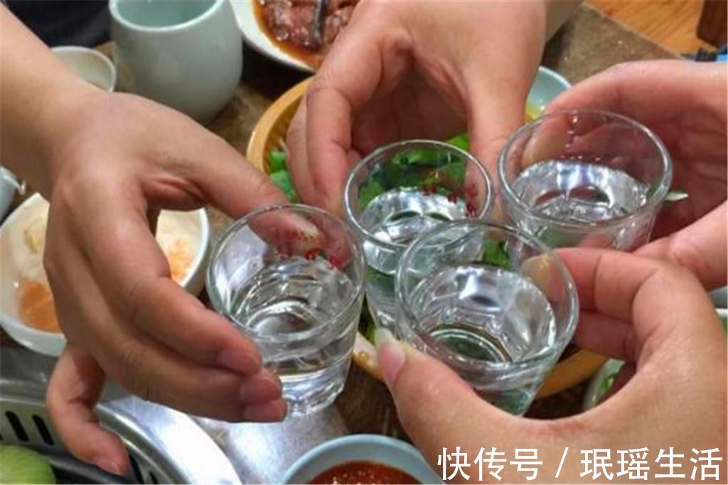 俗语|村俗语“豆腐下酒，不如喂狗”什么意思？豆腐不可以下酒吗？