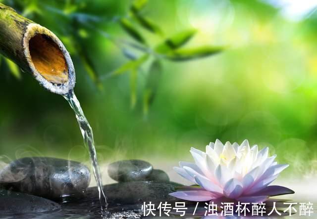 荷花#聊斋故事:荷花仙女