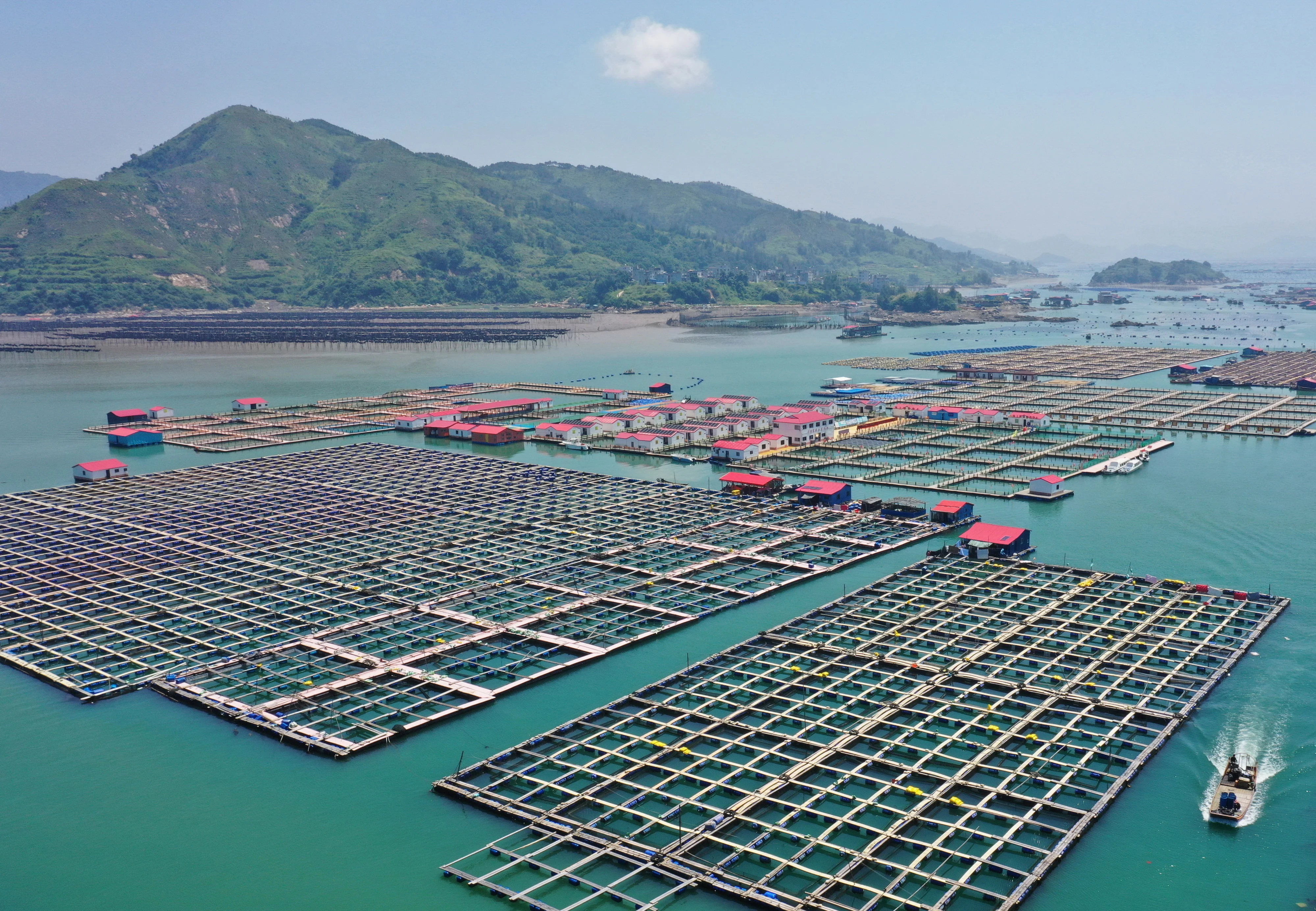走进县城看发展丨福建霞浦：用好海洋资源激活发展新动力