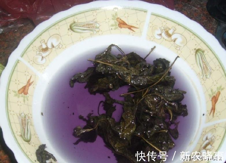 叶子|农村里一种野草,制作泡菜是一绝,在韩国成7000元一斤“奢侈品”