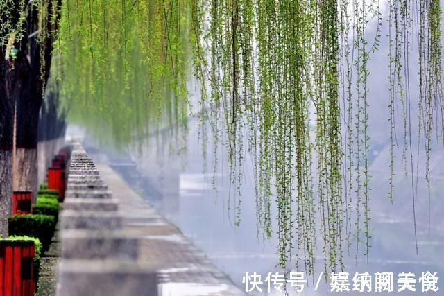 诗人!唐代诗人写了一首诗,皇帝读了,爱得不得了,马上升官