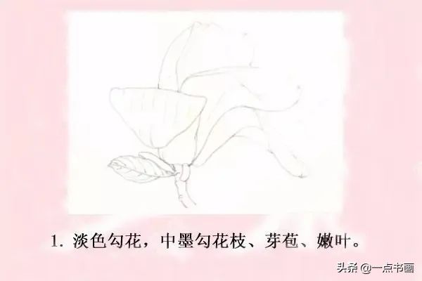 鸳鸯#图文教程——工笔玉兰画法