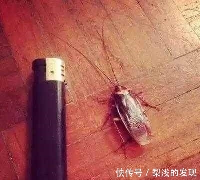 差异|南北方人的差异：从买菜这看得一清二楚，感谢菜场老板的不削之恩