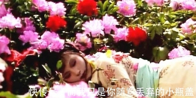 红文|《红楼梦》有那么多人研究,为什么有的普通人却不那么喜欢?