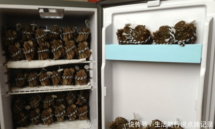 方法|保存螃蟹,不要直接放冰箱!老渔民教你简单方法,放7天还是活的