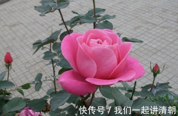 地低成海#俗话天狂有雨,人狂有祸,做人在4方面低调,福气才能不请自来