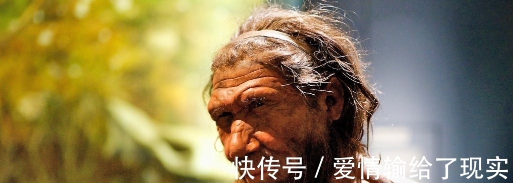人类|尼安德特人灭亡是因母乳喂养?最新科研:这是伪科学!