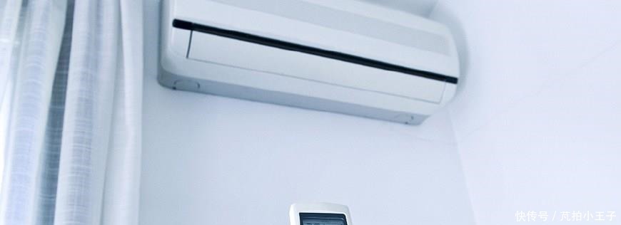 益母草|女人子宫有点冷,多吃这些食物,子宫一天比一天暖!