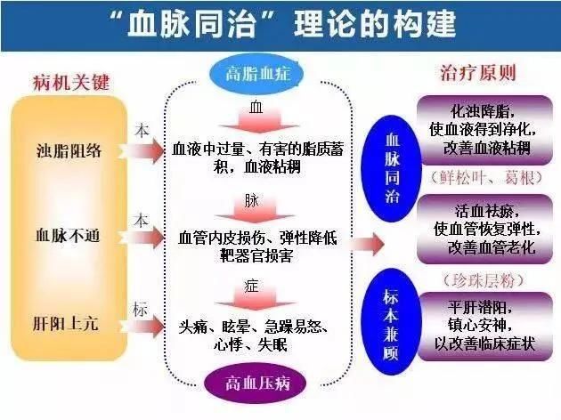 净化|2个中成药，化浊降脂、净化血液、恢复血管弹性，标本兼治高血压