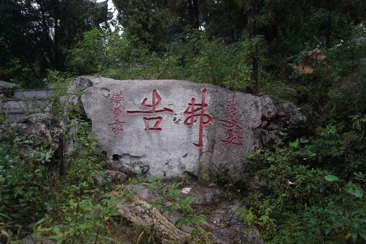 中秋#游记|苍龙峡