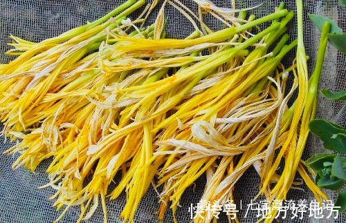 黄花菜|夜里失眠,多食此菜,治疗失眠,预防癌症,还能促进睡眠,防失眠