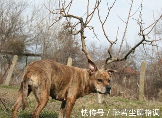 |搞笑GIF动图:阿姨,你是太开心了,假牙都掉了?