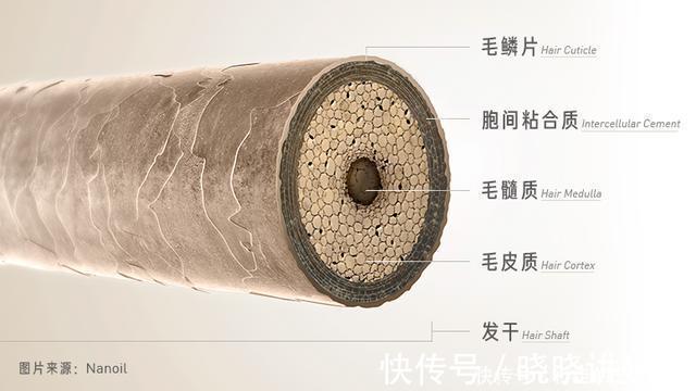 托尼老师|为什么托尼老师染发这么贵丨回形针