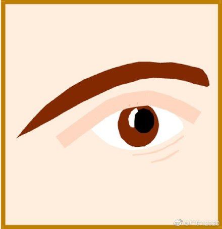 视网膜|什么是视网膜脱离？