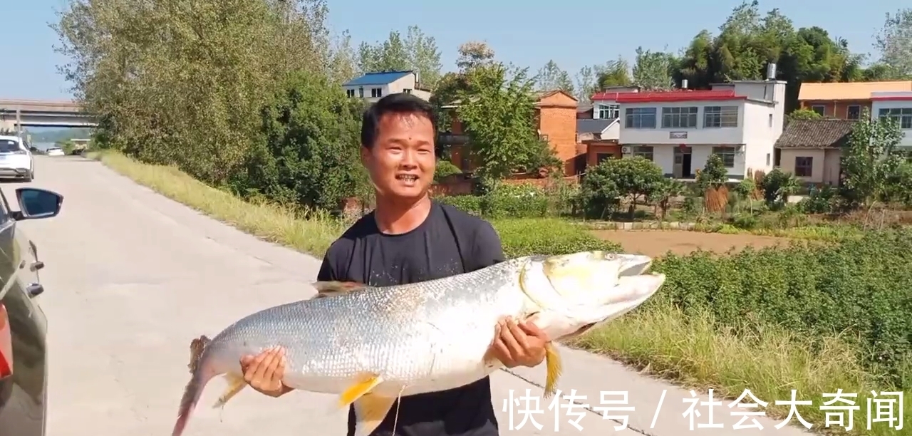 误伤？湖北男子钓草鱼却意外钓起59斤水老虎，男子：溜得腿都软了