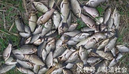 冬季钓大鲫鱼，这五种钓位藏鱼多，遇上了别错过，连竿上鱼很轻松