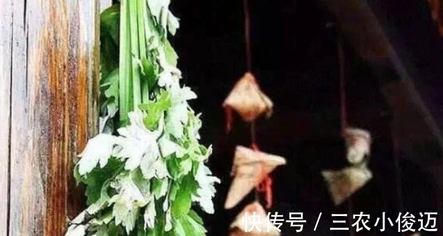 艾条熏灸|农村有一种野草,专门为“腰间盘突出”而生的,城里人买不到