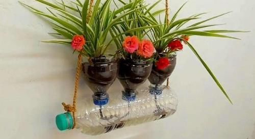 别再看不上塑料瓶,学会这些妙招,它堪当“养花神器”