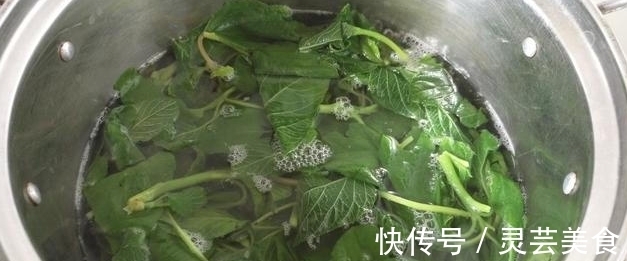 饺子馅|含钙量是菠菜的三倍，做饺子馅特别香，一口一个停不下来