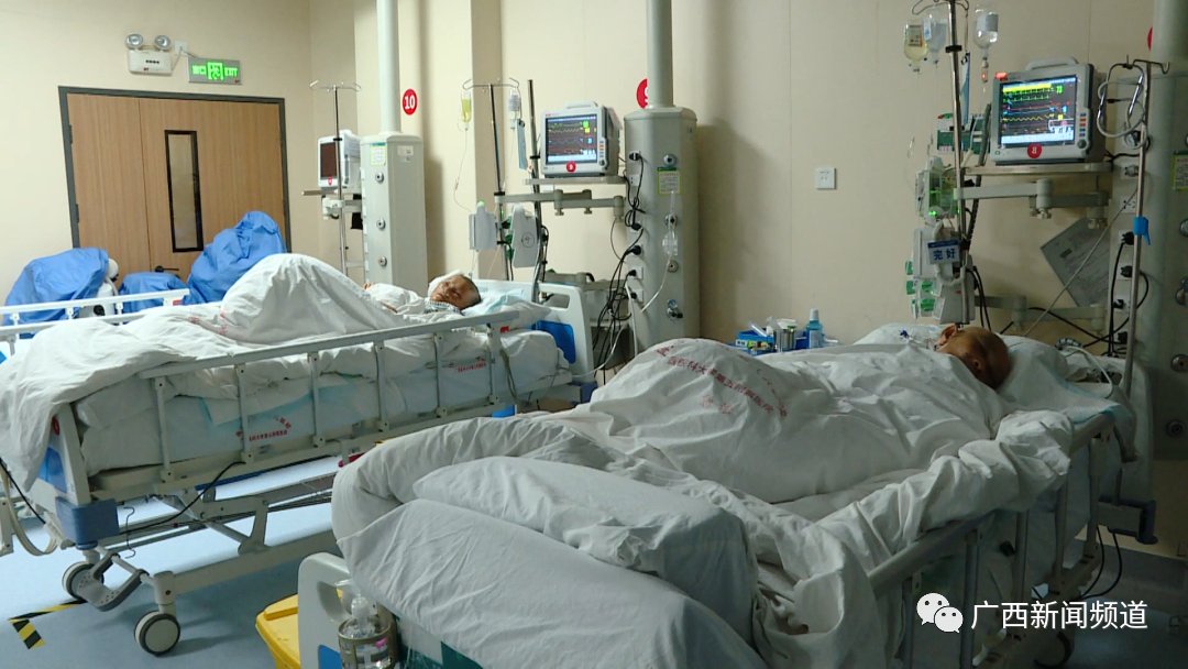 南宁市第一人民医院|一对夫妻被蜂群蜇，一人受伤一人昏迷